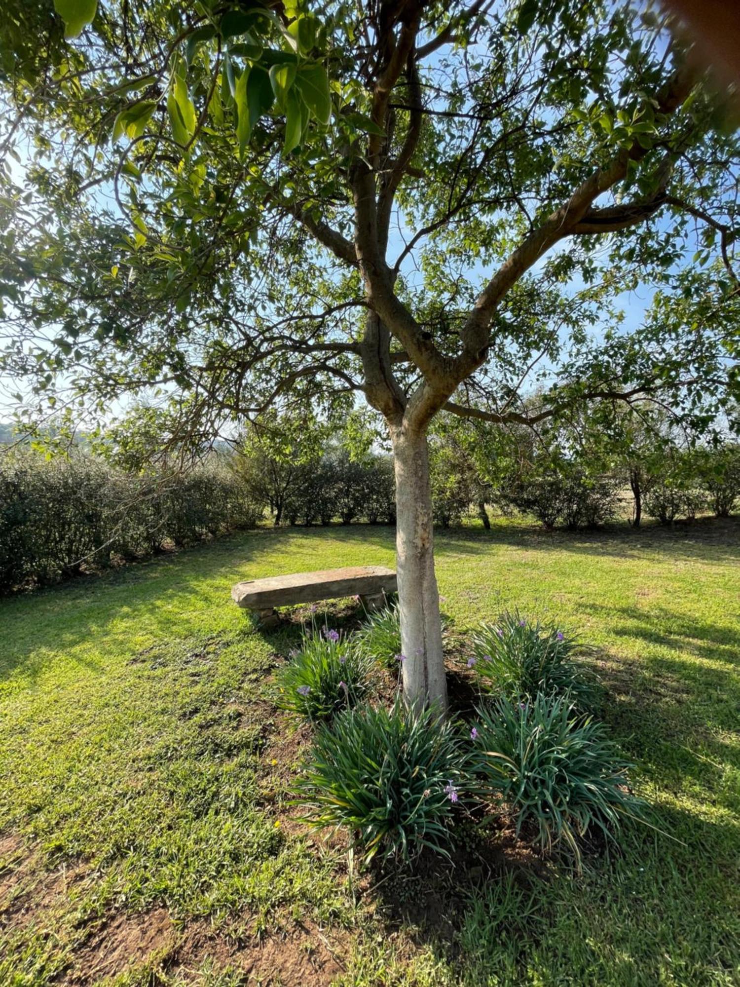 Lodge Tugela River Winterton